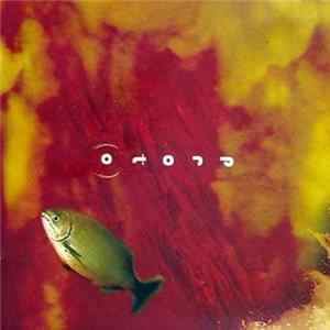Prot(o) - Prot(o) mp3