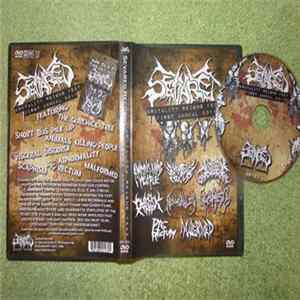 Various - sevared brutality reigns fest - first annual 2011 mp3