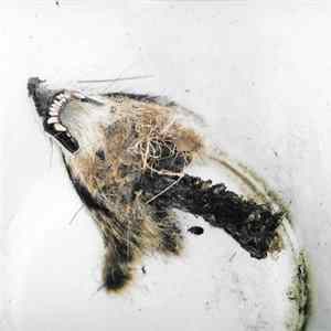Watcher's Woods - Decay mp3