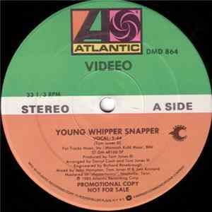 Videeo - Young Whipper Snapper mp3