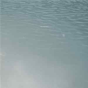 Loke Rahbek & Puce Mary - The Female Form mp3