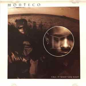 Monteco - Call It What You Want mp3