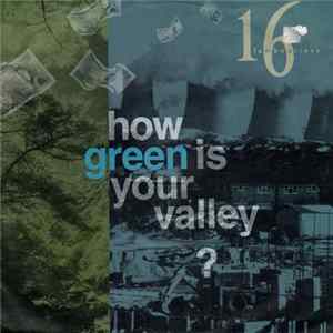 16 Tambourines - How Green Is Your Valley? mp3