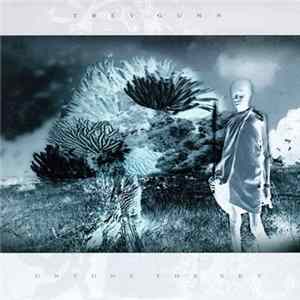 Trey Gunn - Untune The Sky mp3
