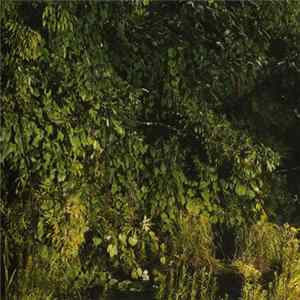 Battles - B EP mp3