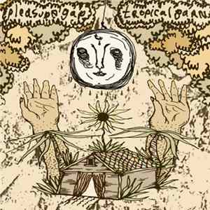 Pleasure Gap - Tropical Barn mp3