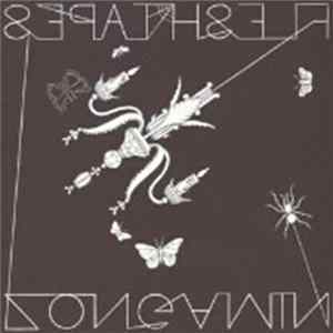 Zongamin - Flesh Tapes mp3