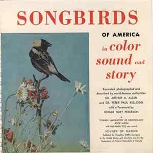 Dr. Arthur A. Allen & Dr. Peter P. Kellogg - Songbirds Of America mp3