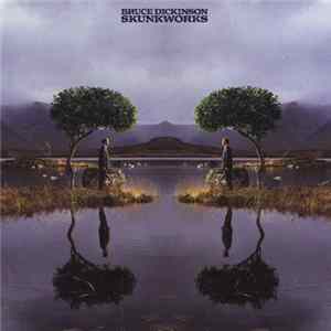 Bruce Dickinson - Skunkworks mp3