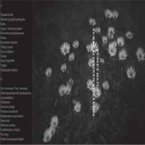 Puiset Heilat - Surrealistinen Yönäytös mp3