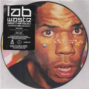 Lab Waste - Can I Get It How You Live? mp3