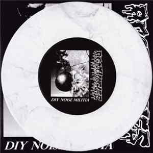 Agathocles / Paucities - DIY Noise Militia mp3