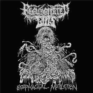 Regurgitated Guts - Esophageal Mutilation mp3