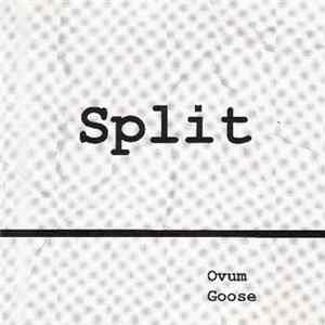 Ovum / Goose - Split mp3