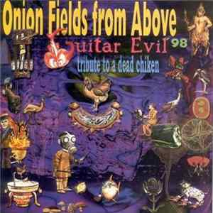 Onion Fields from Above - Space Tribute To A Dead Chicken (Guitar Evil '98) mp3