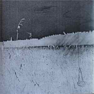 Basement Seed - The Flight mp3