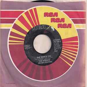 The Breaks - She Wants You / Keeping The Love Alive mp3