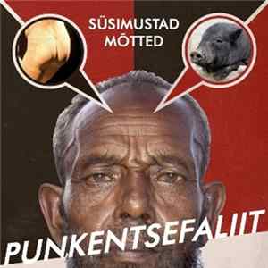 Punkentsefaliit - Süsimustad mõtted mp3