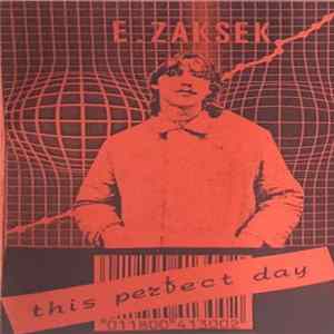 E. Zaksek - This Perfect Day mp3