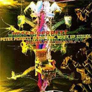 Peter Perrett In The One - Woke Up Sticky mp3
