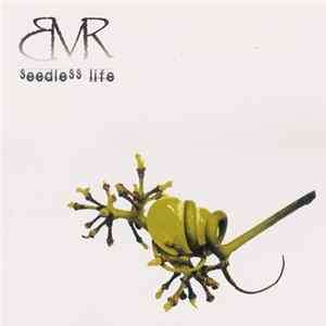 Blue Metal Rose - Seedless Life mp3