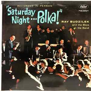 Ray Budzilek And The Boys In The Band - Saturday Night Polka! mp3