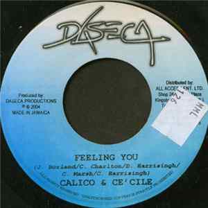 Calico & Ce'cile / Tornado & Deja-Vu - Feeling You / Sintt'n Fi Die Fah mp3