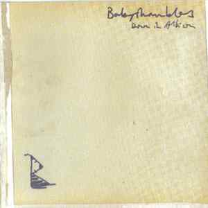 Babyshambles - Down In Albion mp3