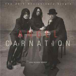 Carnation - Angel mp3