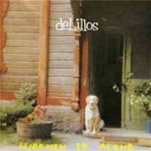 deLillos - Hjernen Er Alene mp3