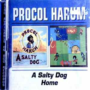 Procol Harum - A Salty Dog / Home mp3
