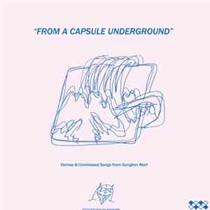 Wand - "From A Capsule Underground" mp3