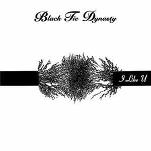 Black Tie Dynasty - I Like U mp3