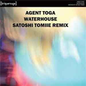 Agent Toga - Waterhouse (Satoshi Tomiie Remix) mp3