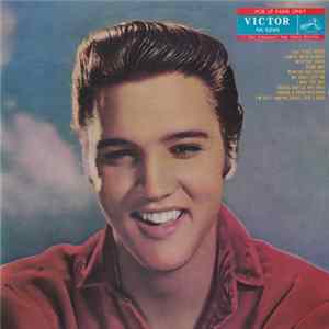 Elvis Presley - For LP Fans Only mp3
