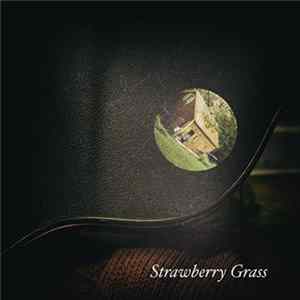David R. Elliott - Strawberry Grass mp3