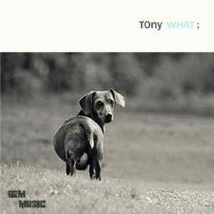 TOny - What; mp3
