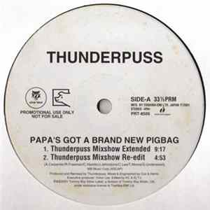 Thunderpuss / D.D. Sound / Abigail - Papa's Got A Brand New Pigbag/Cafe (Remix)/Let The Joy Rise mp3