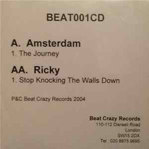 Amsterdam / Ricky - The Journey / Stop Knocking The Walls Down mp3
