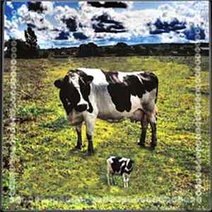 Pink Floyd - Upelkuchen mp3