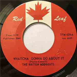 The British Modbeats - Whatcha Gonna Do About It mp3