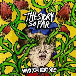 The Story So Far - What You Don't See mp3