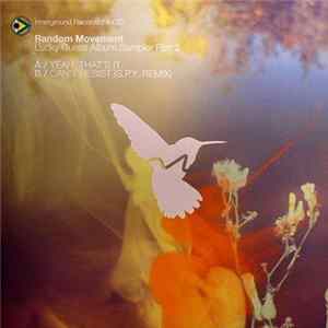 Random Movement - Lucky Guess Album Sampler Part 2 mp3