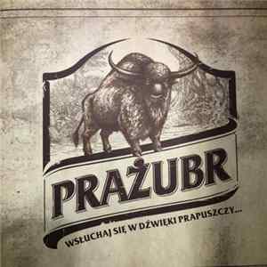 Prażubr - Dźwięki Prapuszczy mp3