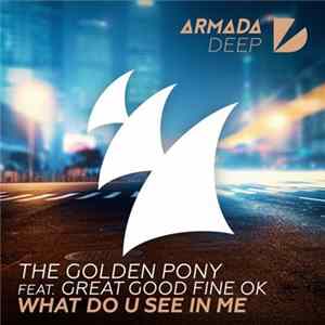 The Golden Pony Feat. Great Good Fine OK - What Do U See In Me mp3