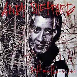 Andy Sheppard - Soft On The Inside mp3