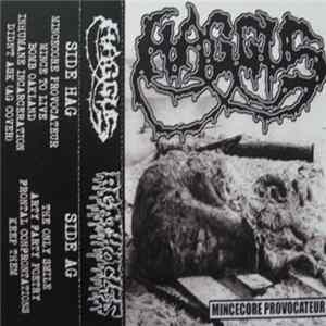 Haggus / Agathocles - Mincecore Provocateur / Don't Forget To Eat Your Lunch And Make Some Trouble mp3
