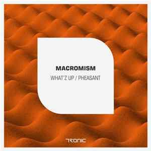 Macromism - What'z Up / Pheasant mp3