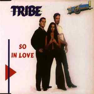 Tribe - So In Love mp3