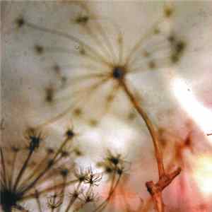 All The Pretty Things - All The Pretty Things mp3